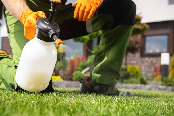 Best Affordable Pest Control Services  in Bridgeport, AL