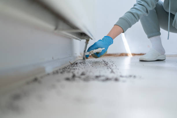 Best Commercial Pest Control Services  in Bridgeport, AL